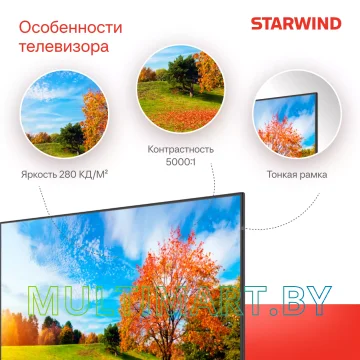 Телевизор StarWind SW-LED65UG402 картинка 5